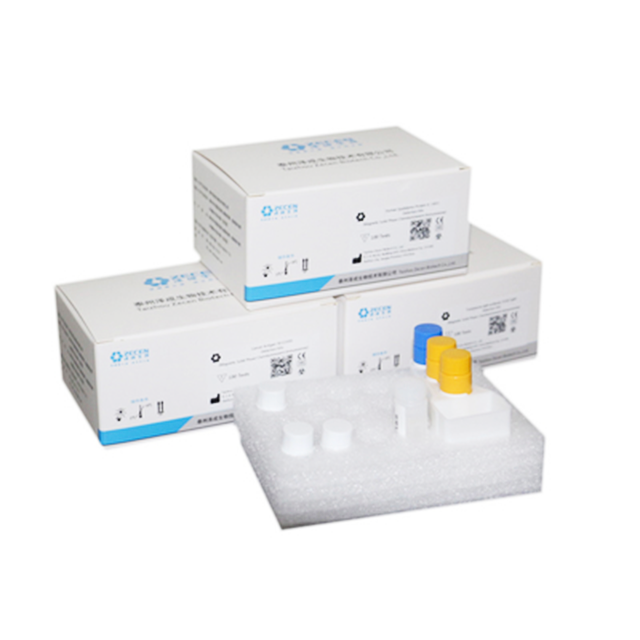 Immunoassay Test Kit ESTRADIOL E2 for Automatic Immunoassay Analyzer In ...